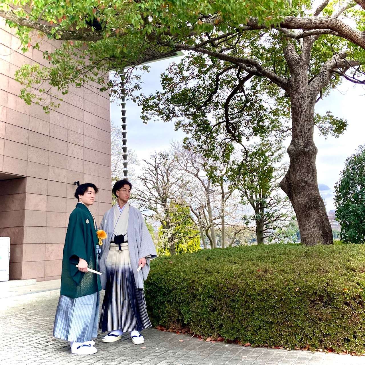 【男袴】【紋付袴】【成人式】【前撮り】【ロケーションフォト】桜の中で前撮り！