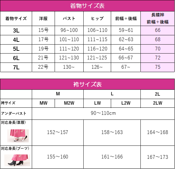 先生用袴シリーズ　訪問着＋袴91-3L
